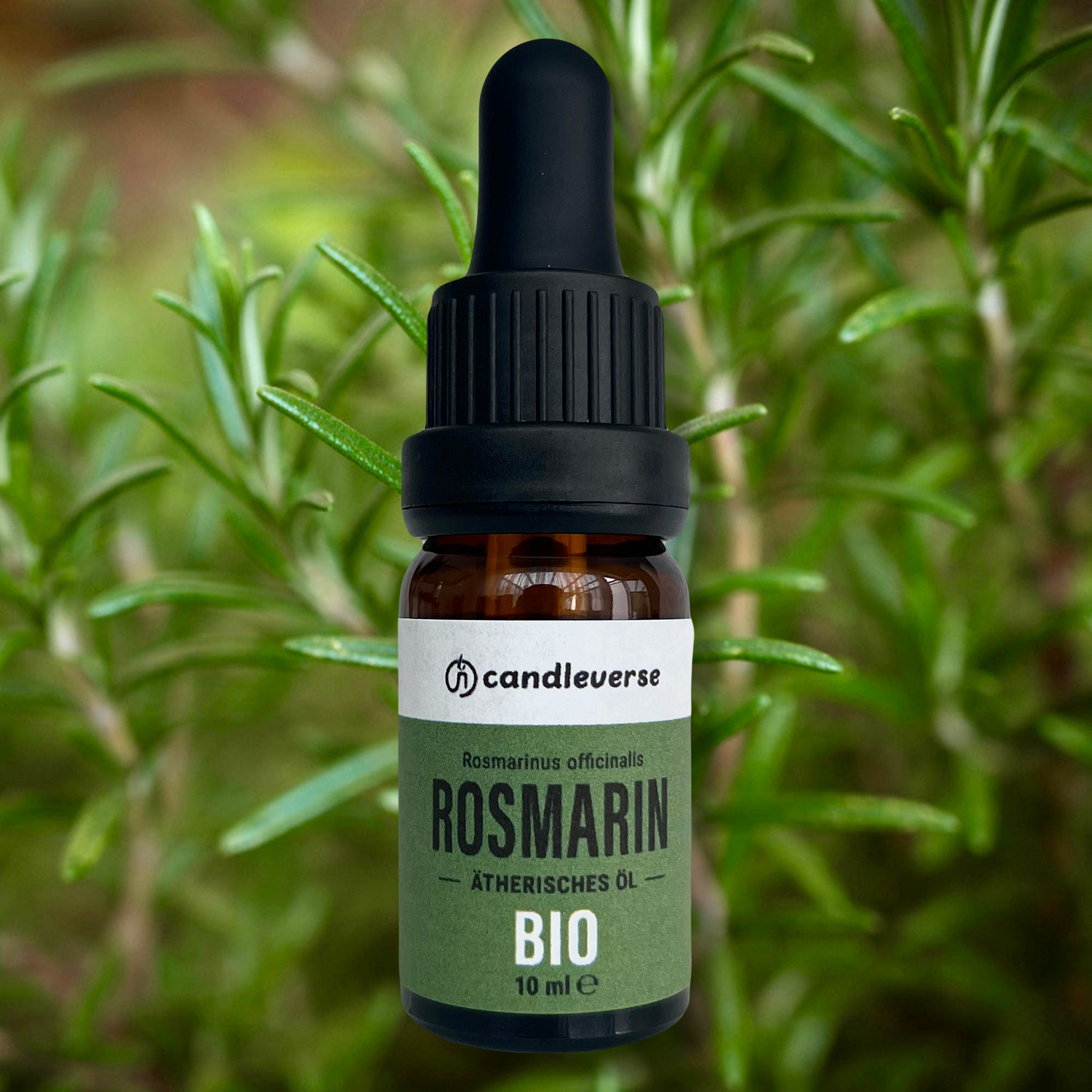 Bio Rosmarin Ätherisches Öl